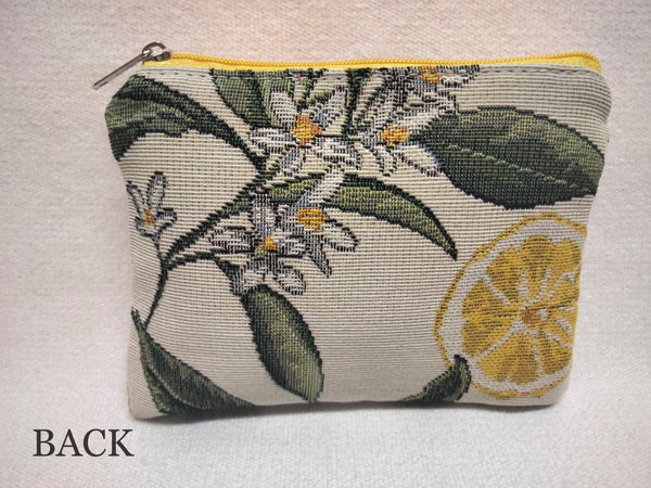 Coin case LEMONS